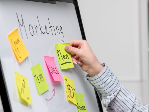 marketing-young-cute-business-lady-striped-shirt-office-creating-new-marketing-plan